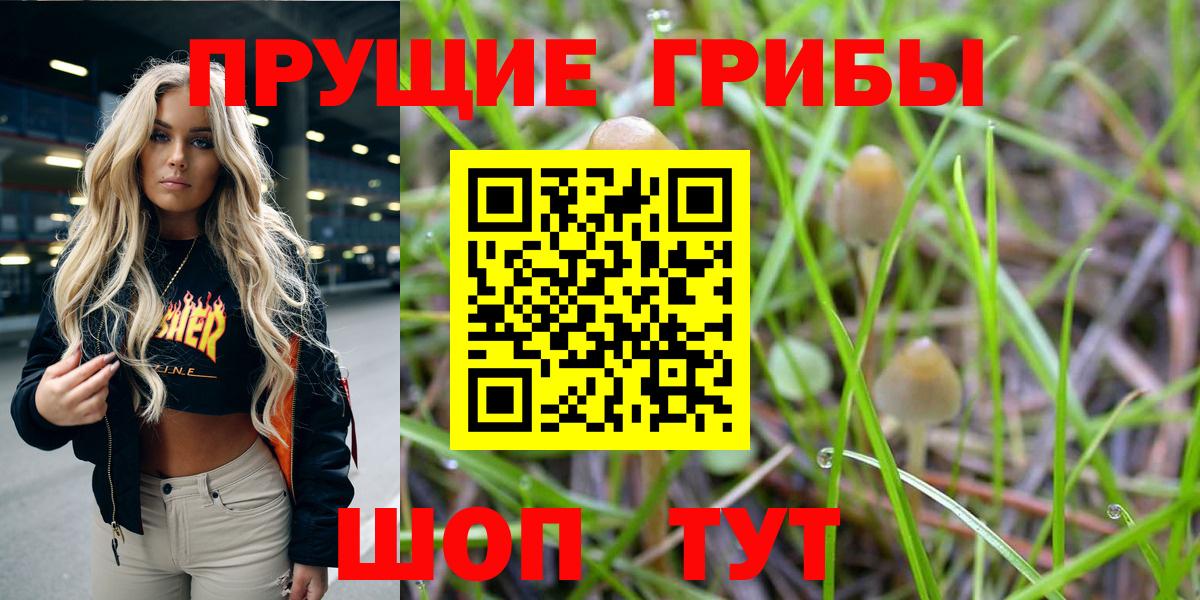 Галлюциногенные грибы GOLDEN TEACHER Ахтубинск