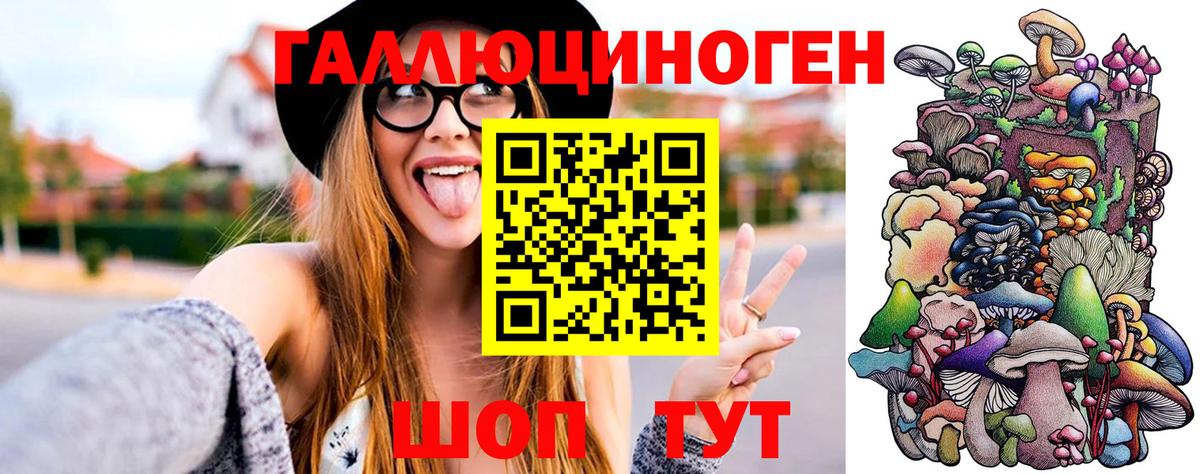 купить  сайты  Галлюциногенные грибы мицелий  Вход с VPN  Ахтубинск 